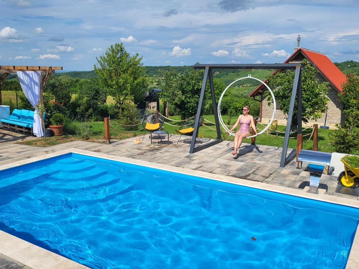 Vila Stancevic Wellness Villa Sremski Karlovci Exterior foto