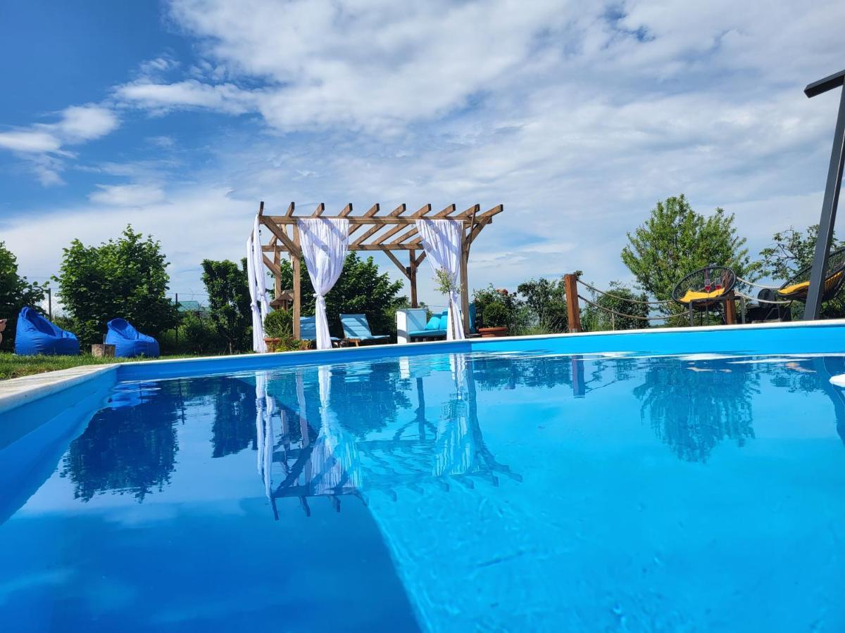 Vila Stancevic Wellness Villa Sremski Karlovci Exterior foto